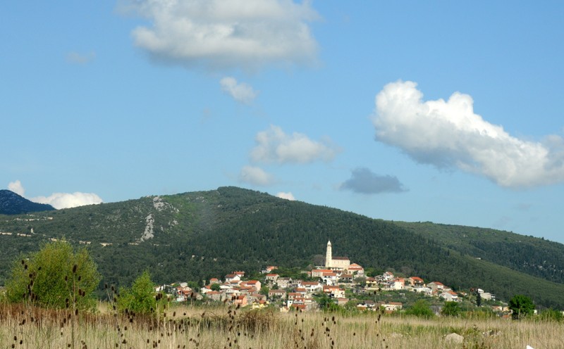 Cvjetnica (44)